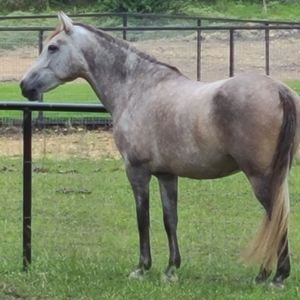 Meet your Posher, Stacy